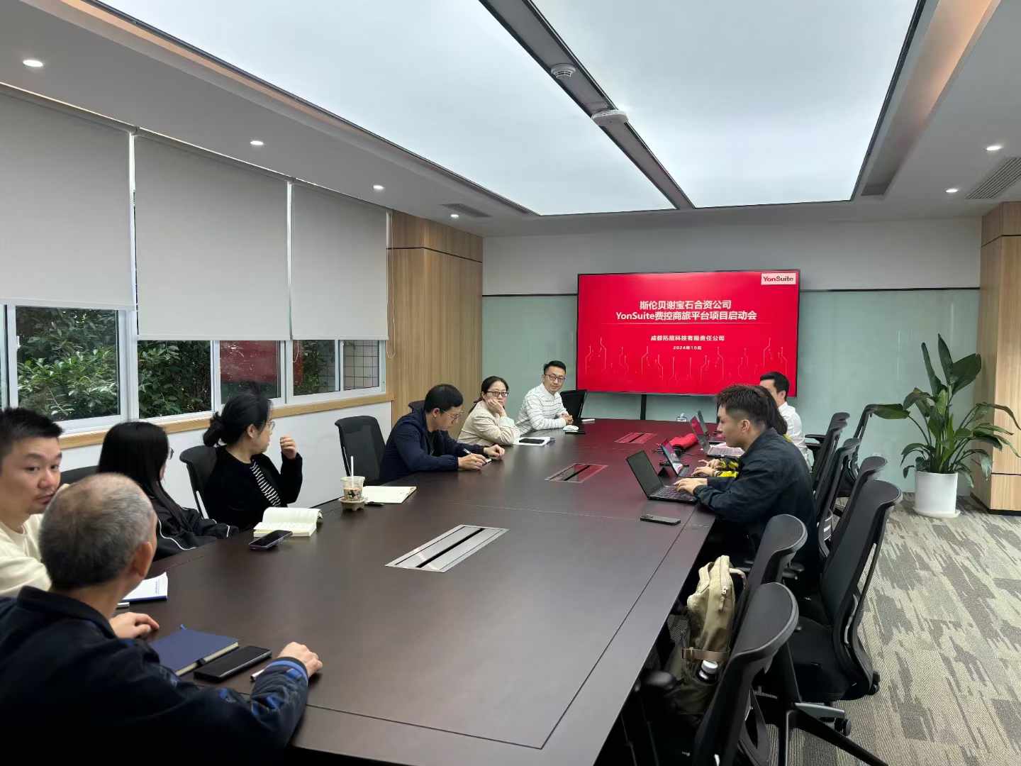 斯伦谢宝石1.jpg
